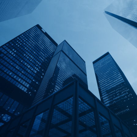 Social and Economic Consulting